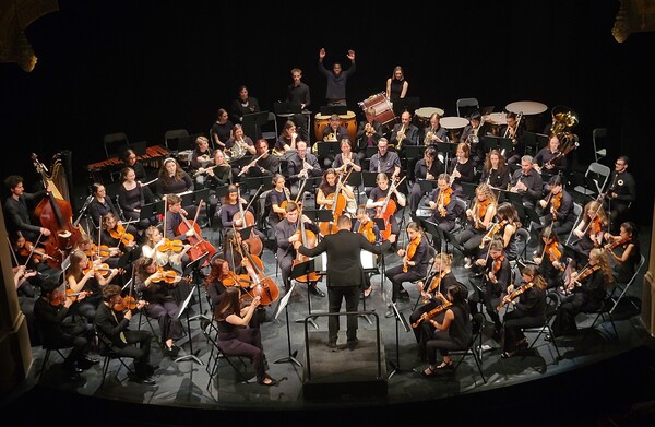 l'orchestra giovanile europea a fontainebleau